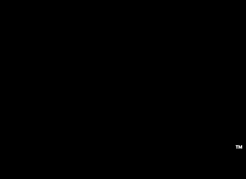 Austin Local Team logo